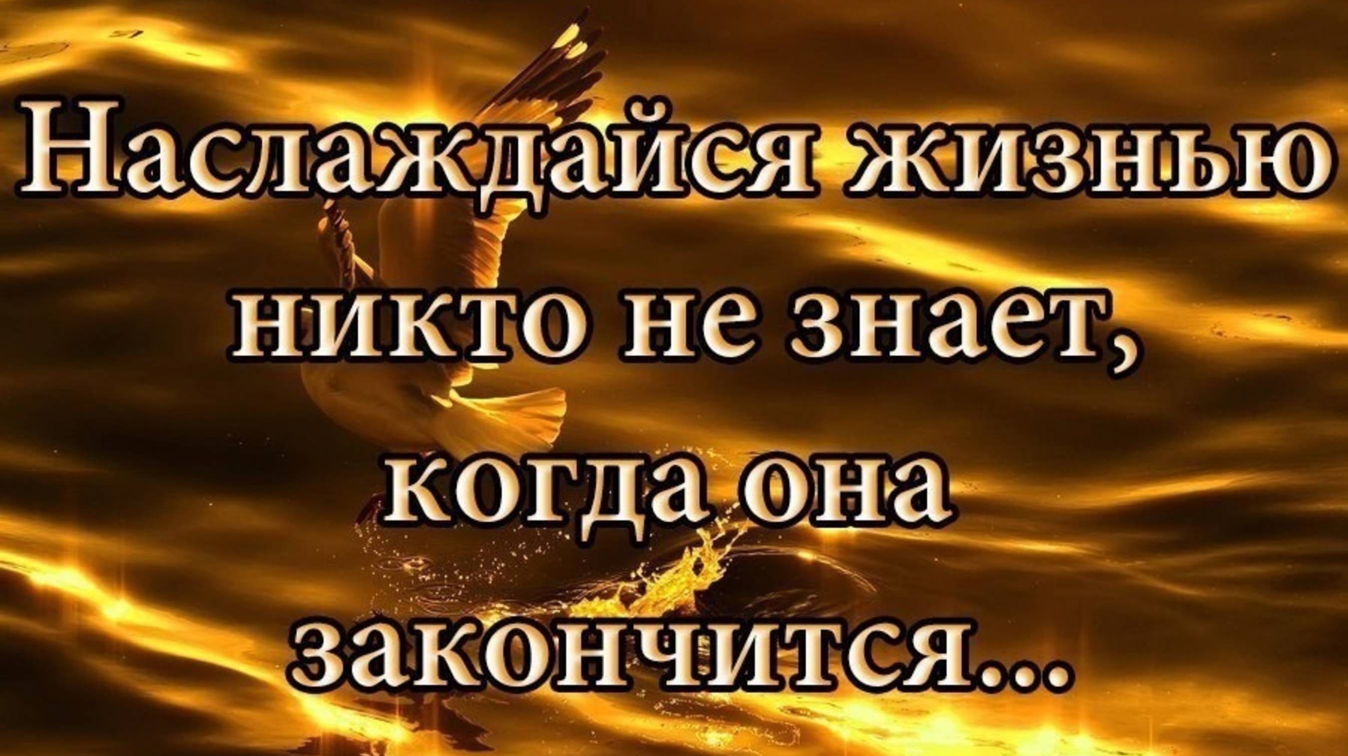 ЖИЗНЬ КОРОТКА. А ВДРУГ МЫ НЕ УСПЕЕМ?