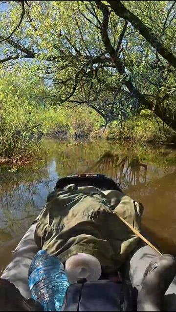 На природе хорошо 🏞️ Сплав по реке 🚣