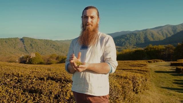 Егор Матчак - Фермерский чай из Сочи