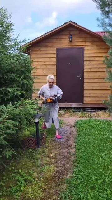 Дачная жизнь