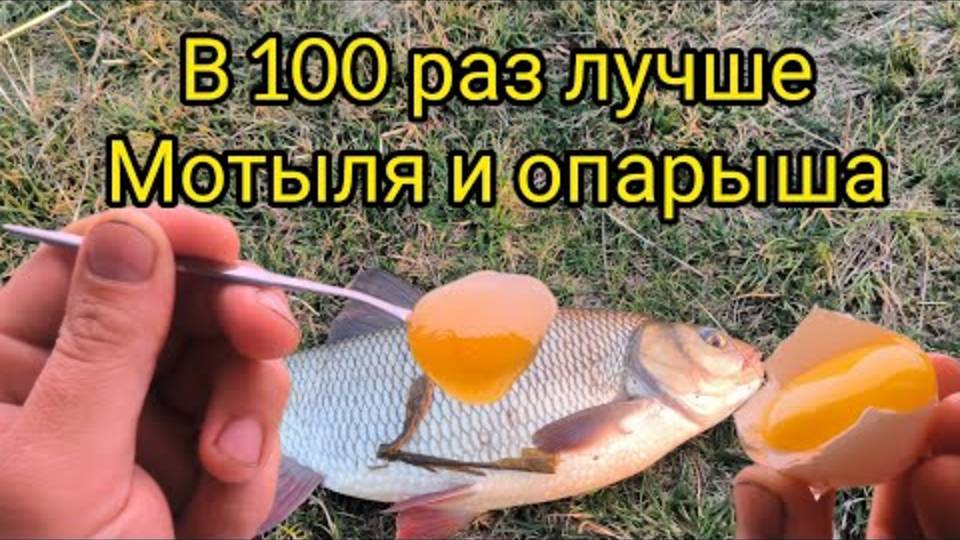 ВСЯ РЫБА БУДЕТ ВАШЕЙ!!!ТОЛЬКО ДОБАВЬТЕ ЭТО В ТЕСТО