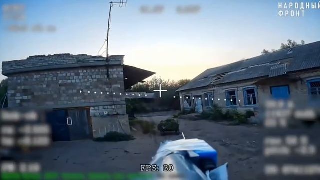 В Константиновке три поросёнка попытались слиться с домиком, но не вышло !!!