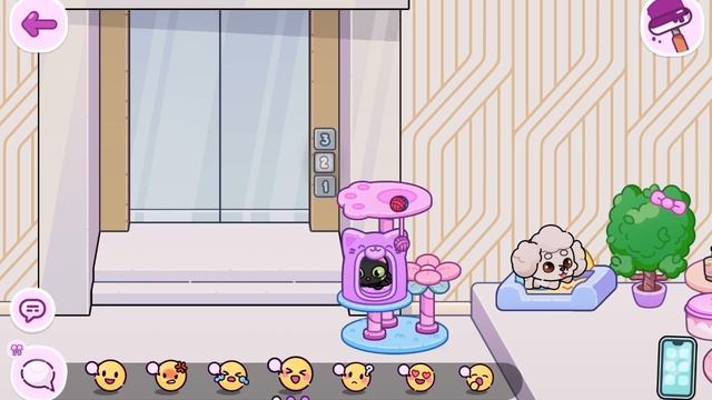 SVID_20250607_172702_1.mp4