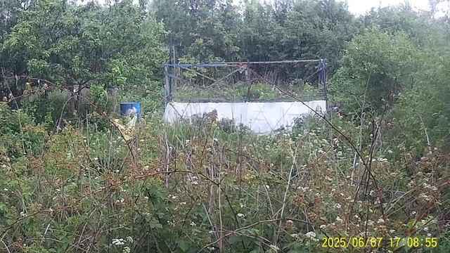 ОПУСТИЛОСЬ НЕБО НИЖЕ И ПОШЁЛ СТУЧАТЬ ДОЖДЬ ПО КРЫШИ