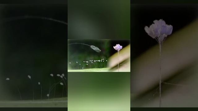 1000097960.mp4