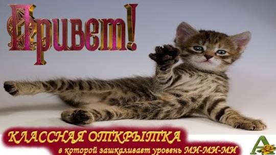 ПРИВЕТ ТЕБЕ ОТ МЕНЯ // ХОРОШЕГО ДНЯ // УЛЫБНИСЬ // МУЗЫКАЛЬНАЯ ОТКРЫТКА // КЛАССНОЕ ПОЗДРАВЛЕНИЕ