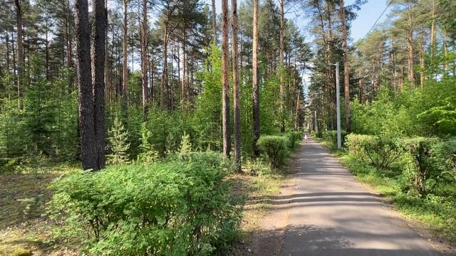 Вход в городской парк DenBan4
