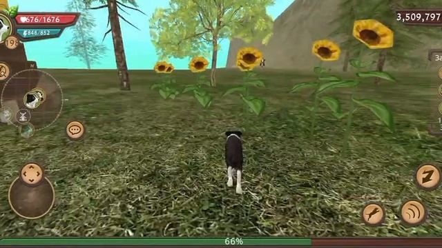 Онлайн в Dog Sim.