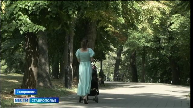 Выходные на Ставрополье будут по-настоящему летними