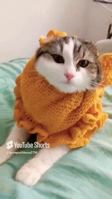 Попытка номер Восемь!😻