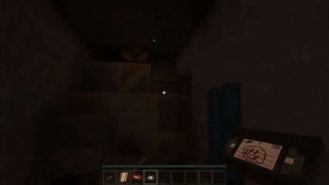 VID_20250607_185722_613.mp4