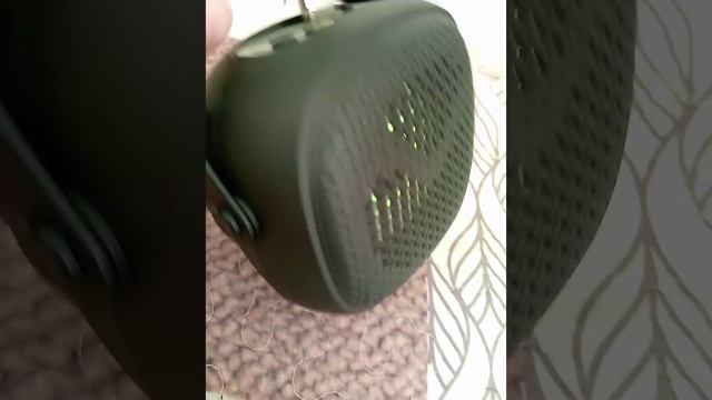 1000006241.mp4