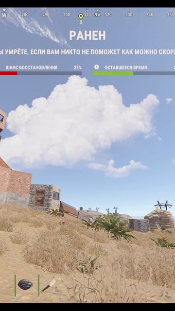 RUST