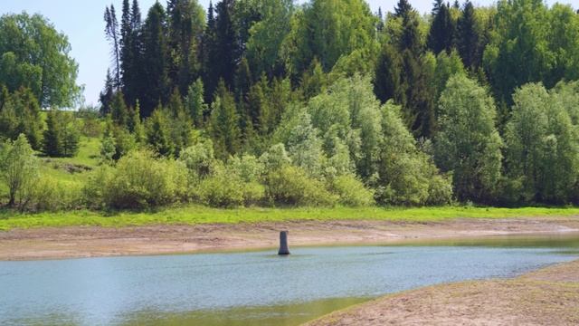 @ЛЕТО ПРИШЛО@... (Фото Измаила ЕФИМОВА (Йошкар-Ола), музыка Натальи МАНСЕР (Швейцария)