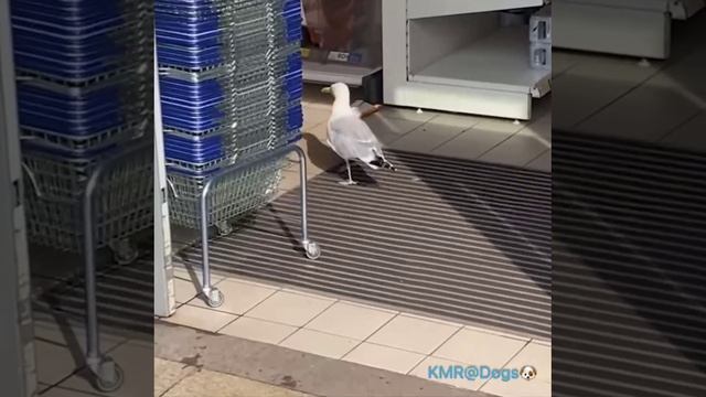 Запишите на мой счет🧾🤣