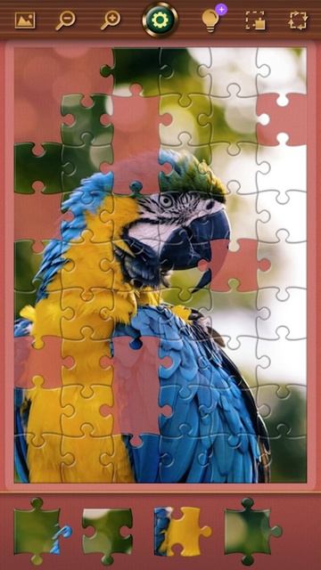 Играй в пазлы для взрослых и детей 🦜