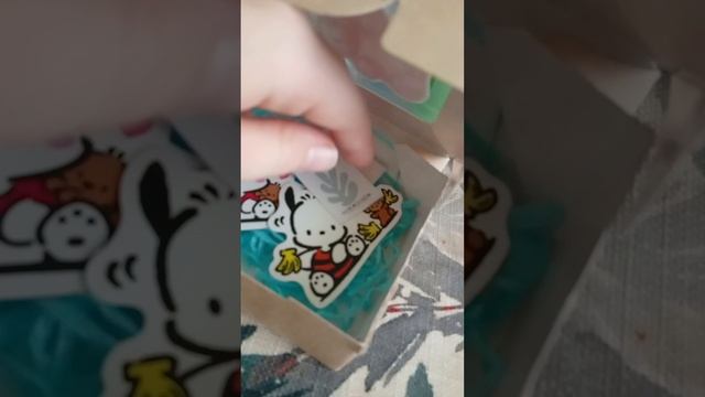 бокс сестре на др