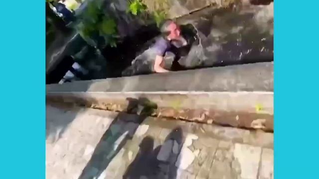 подборка смешных видео