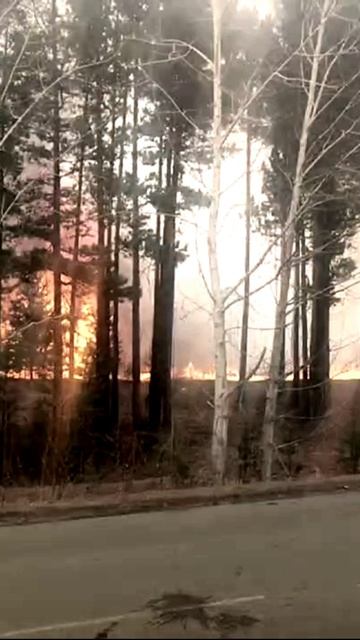 Сильные пожары в Читинской области