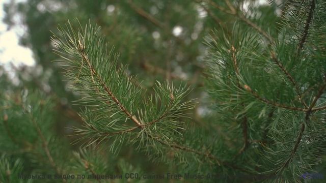 Музыка рисует на небе больше, чем краски - Slow Burn -- Johannes Weber -- Unnamed album