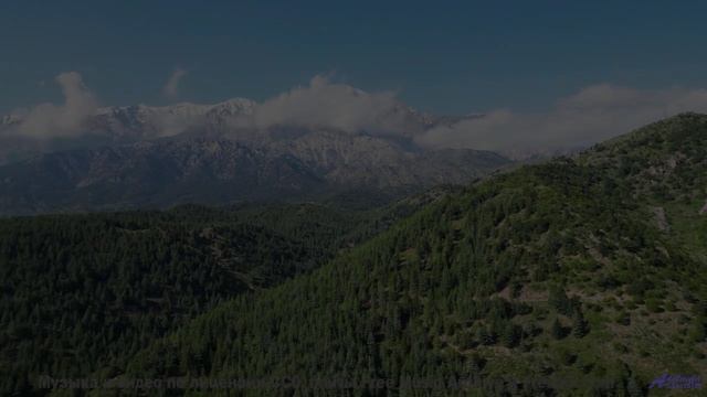 Ты не поймешь, что такое настоящая красота, пока не увидишь это! - Between My Eyes -- Kirk Osamayo -