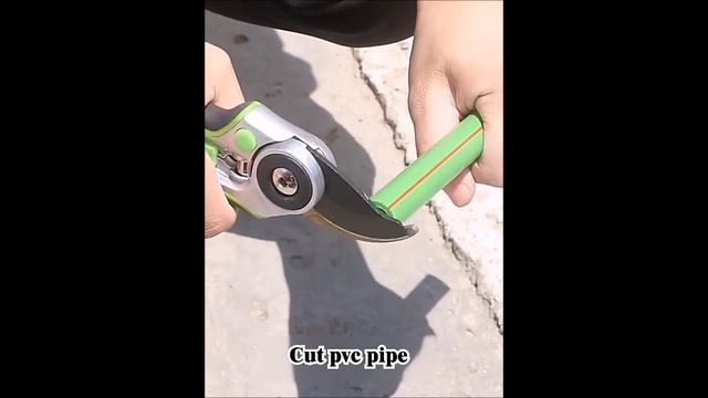 Профессиональный секатор