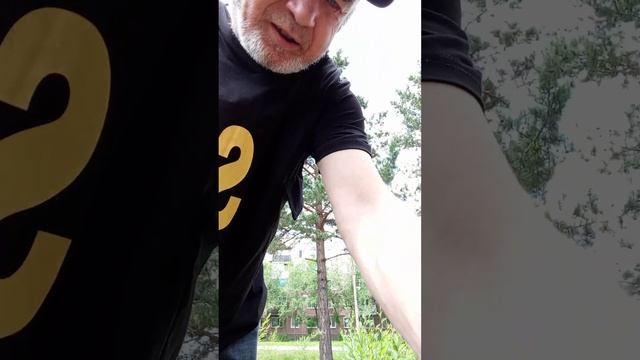 С ДНЮХОЙ!!!  НИ ГВОЗДЯ НИ ЖЕЗЛА !!!