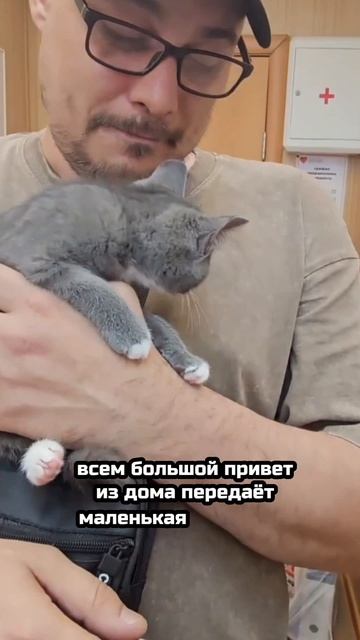 Танки, Мультики и Безграничная Любовь! | Анора
