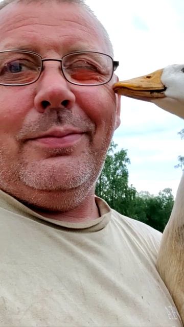 Снял видео про уток — и получил «по морде»! 😂🦆