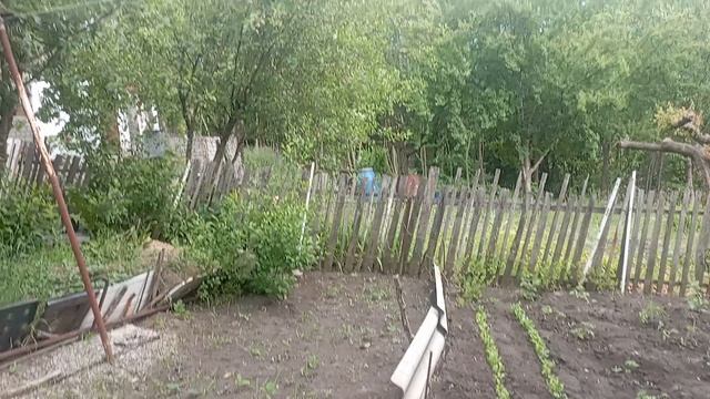 1000029762.mp4 7 июня 2025 года. Чёрная полоса.

 Но я справлюсь.