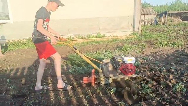 ПРОБУЮ ПЕРВЫЙ РАЗ ПАХАТЬ ОГОРОД НА МОТОБЛОКЕ.
