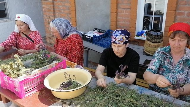 Подготовка к Троице. 2025