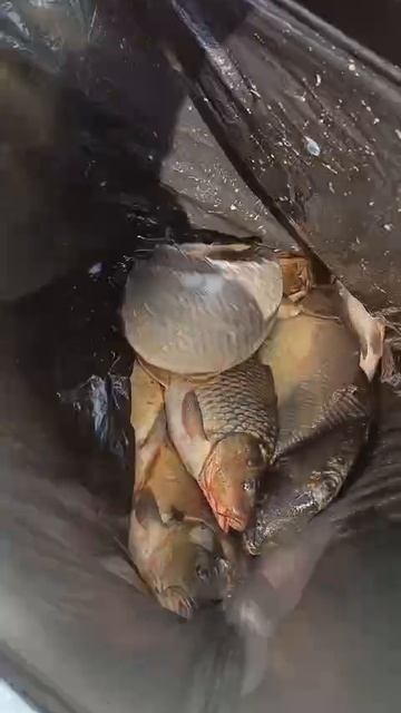 WhatsApp Video 2025-06-07 at 09.04.22