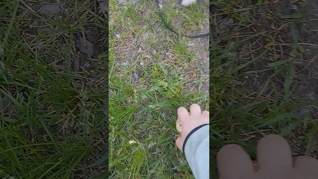 1000568351.mp4
