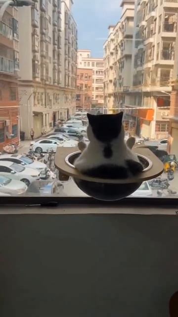Наблюдатель🥰