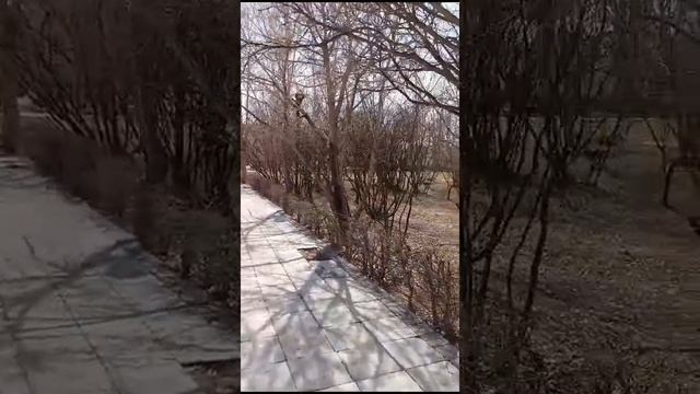 «Санаторий “Рабочий” глазами гостя | Обзор от Ирины»