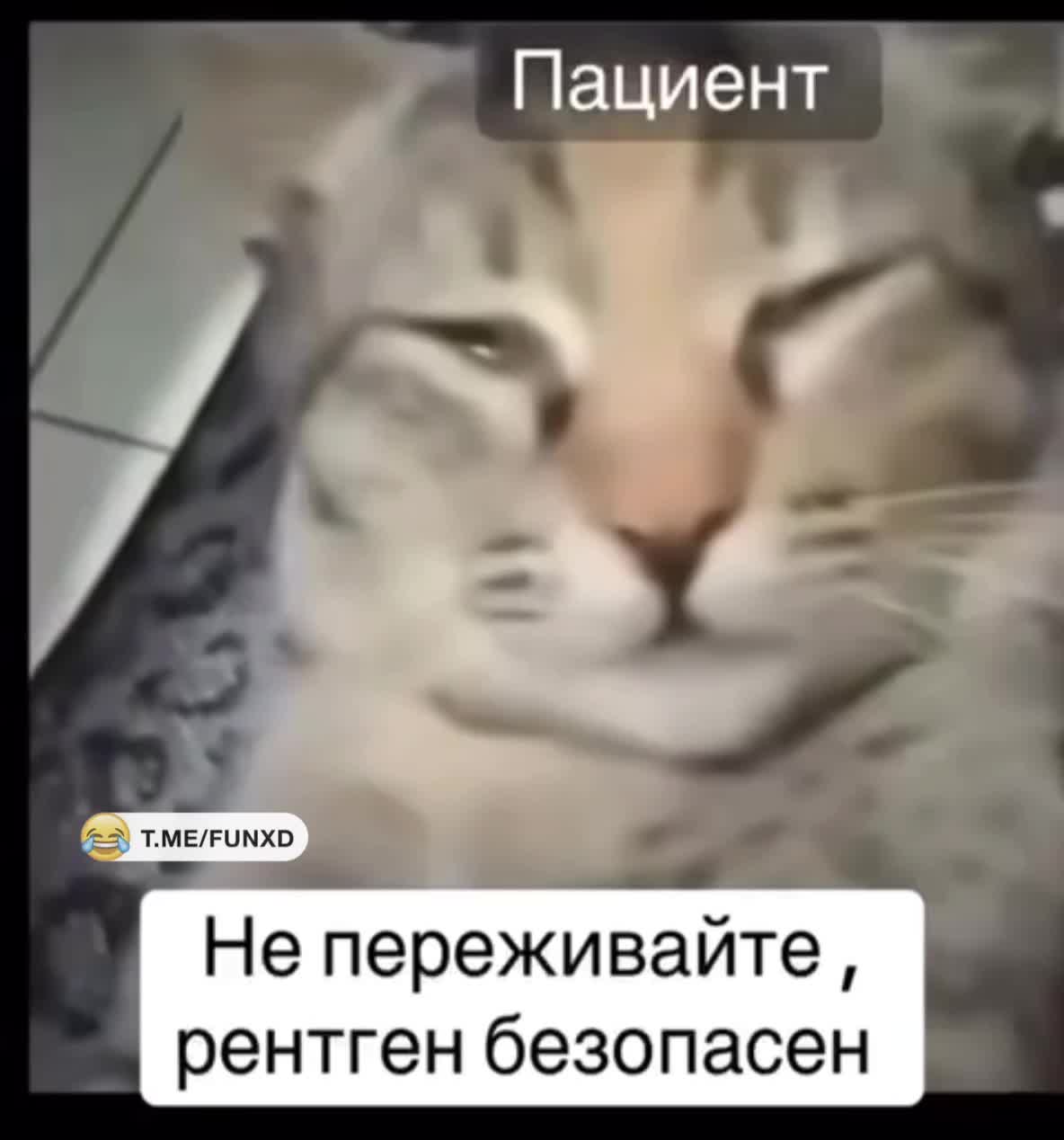 Жизненно🤣