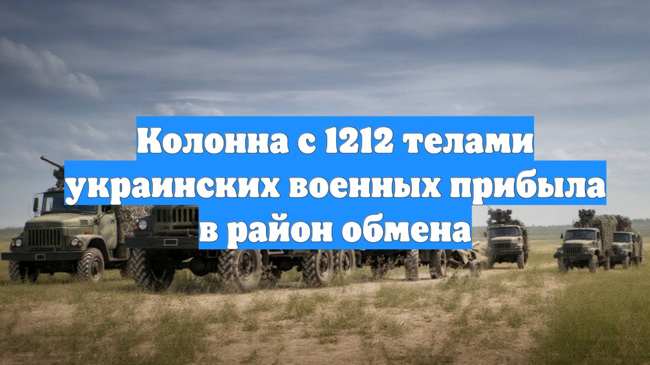 Колонна с 1212 телами украинских военных прибыла в район обмена