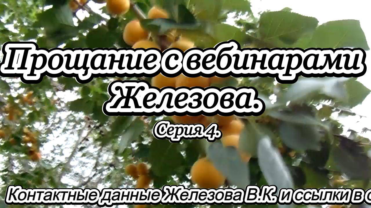 Прощание с вебинарами Железова. Серия 4.