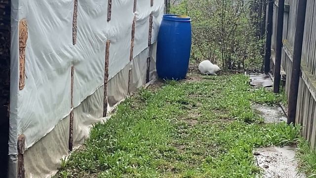 Из-за погоды весь день у камина