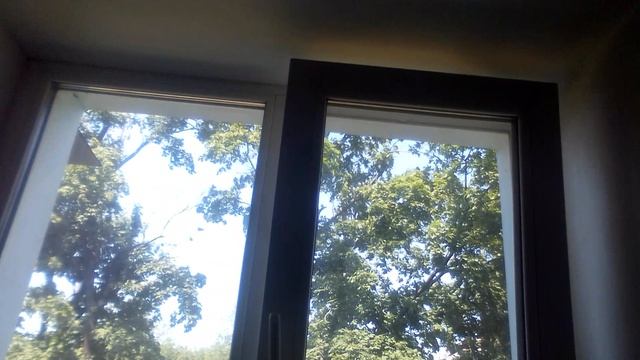 VID_20250607_125714.mp4