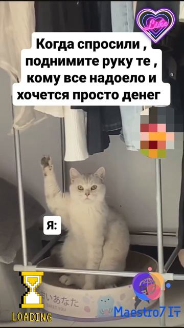 💻 Когда просто хочется денег