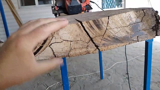 7 июня, видео не про птицу