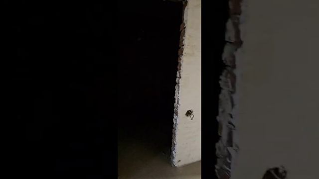 document_5341289245623482938