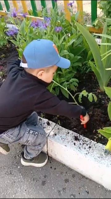 Как думаете, вырастут помидоры?.mp4