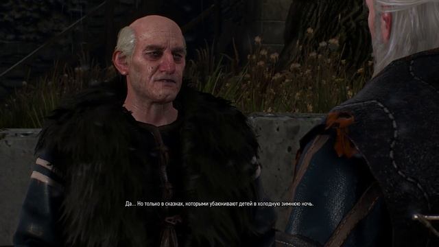 The Witcher 3 дополнительные миссии #6