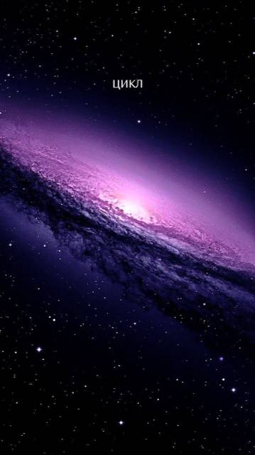 Почему понимание внутреннего цикла развития бизнеса — ключ к успеху? 🚀