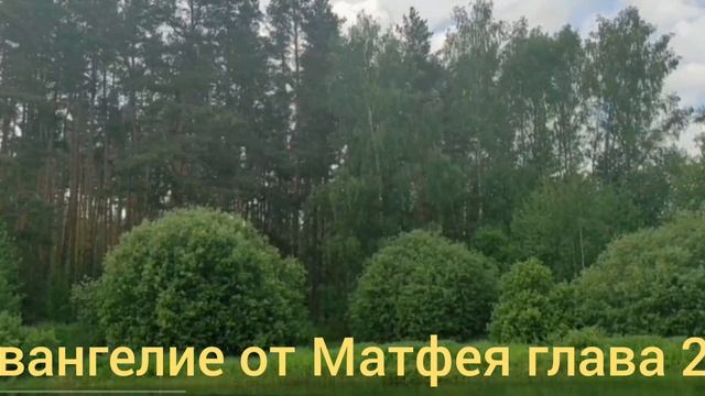 Библия Евангелие от Матфея глава 28