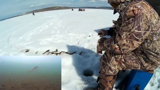 Рыбалка на Братском 06.04.17