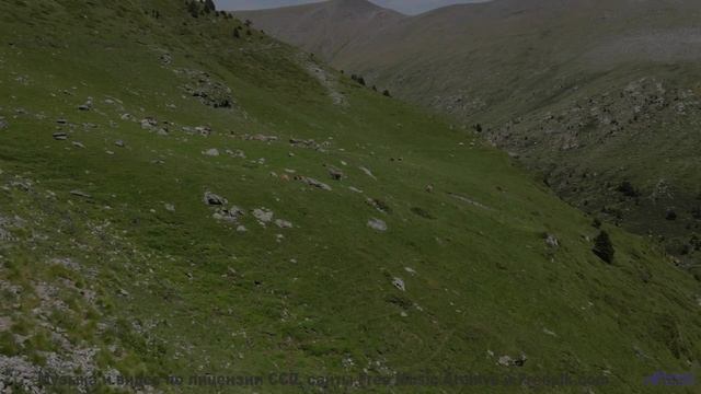 Камера летит над полями, музыка бьёт по сердцу - Folksy Dance -- Crowander -- Commercial 30 Seconds